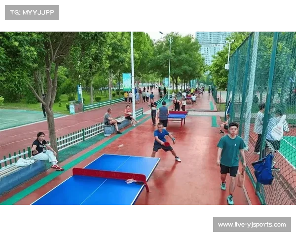 “国球进社区”“国球进公园”活动持续开展，促进体育设施与城市空间融合